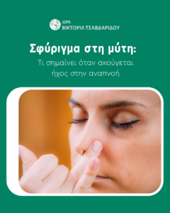 σφύριγμα στη μύτη cover